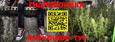 Альфа ПВП Ипатово